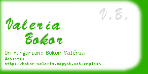 valeria bokor business card